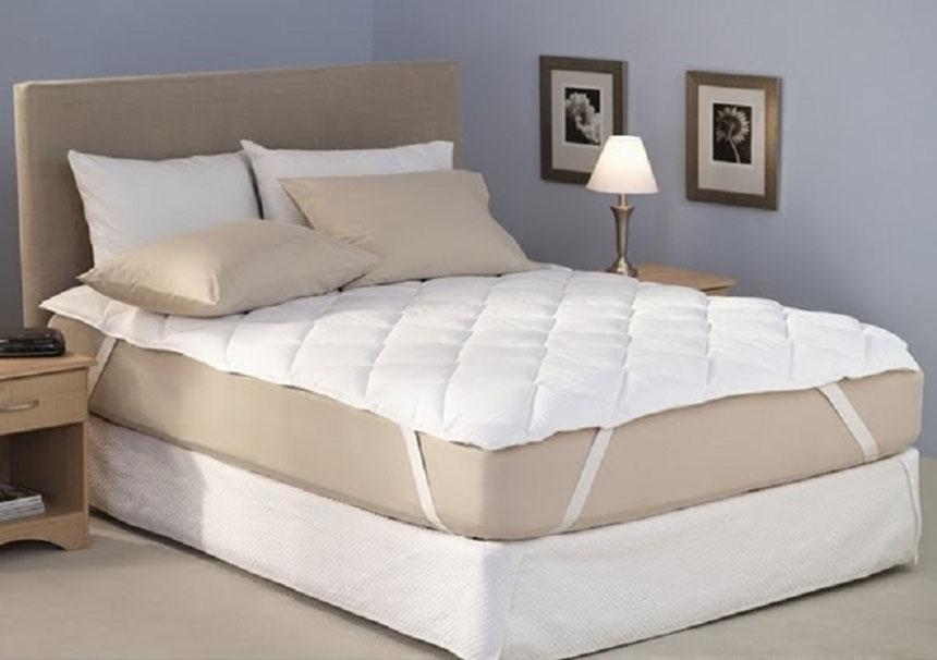 Sự khác biệt giữa các dòng nệm lò xo, nệm bông ép và nệm cao su tự nhiên