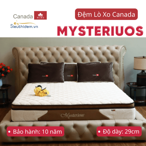 Đệm lò xo Canada Mysteriuos