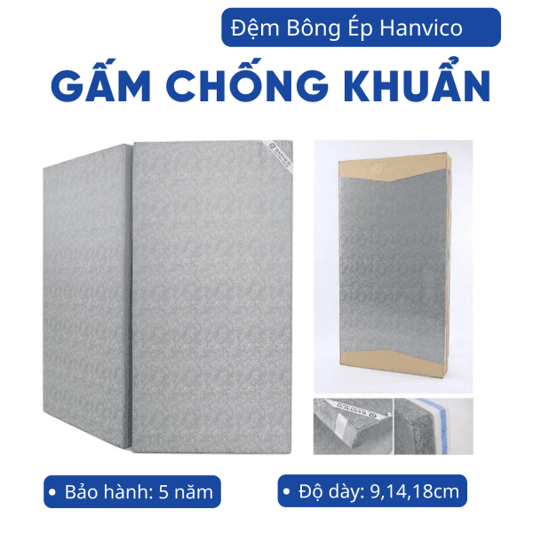 Đệm bông gấm chống khuẩn Hanvico