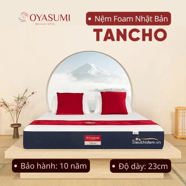 Đệm foam Nhật Bản Inoac Oyasumi Tancho