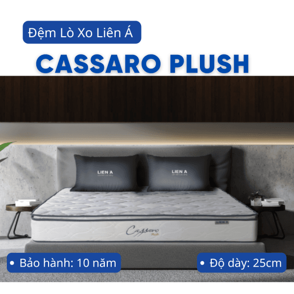 ĐỆM LÒ XO LIÊN Á CASSARO PLUSH